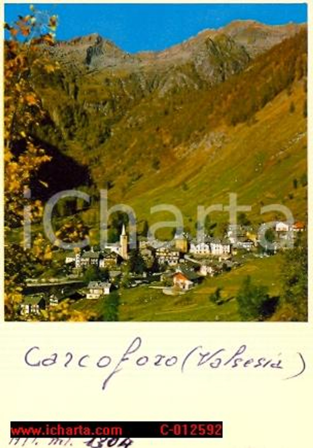 Cartolina originale da collezione 1980 ca CARCOFORO VC Veduta della valle Fotocartolina VINTAGE FG NV 1
