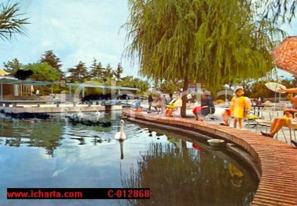 Cartolina originale da collezione 1977 CASTELLAMMARE DI STABIA NA Le terme  Lago dei cigni ANIMATA FG VG 1