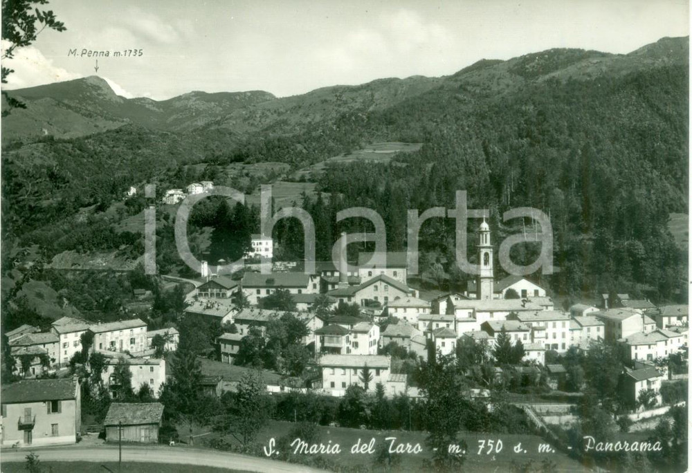 Cartolina originale da collezione 1958 TORNOLO PR Panorama frazione SANTA MARIA DEL TARO Cartolina FG VG 1