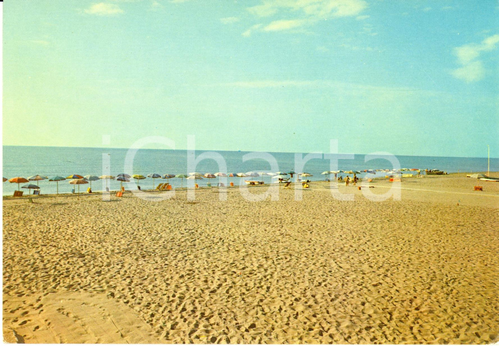 Cartolina originale da collezione 1960 ca POLICORO (MT) Veduta della spiaggia *Cartolina FG NV VINTAGE 1