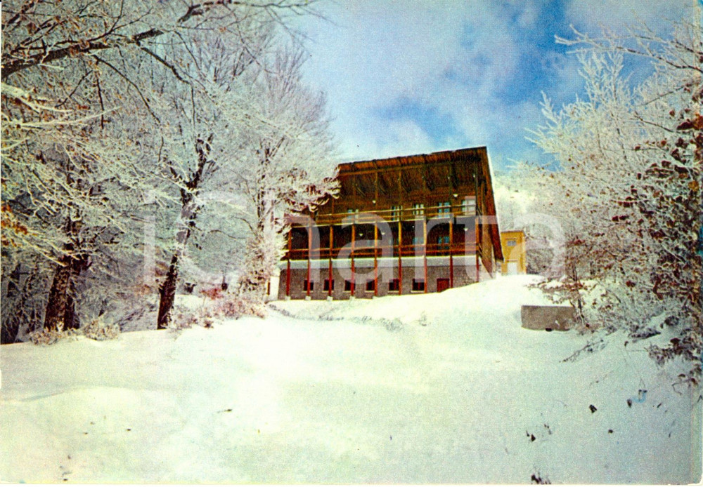 Cartolina originale da collezione 1960 ca ABRIOLA (PZ) Albergo in montagna contrada SELLATA *Cartolina FG NV 1