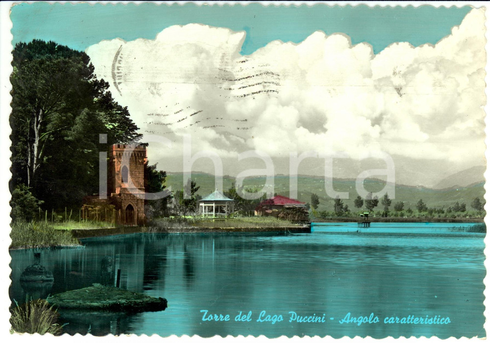 Cartolina originale da collezione 1962 TORRE DEL LAGO PUCCINI LU Un angolo caratteristico del lago FG VG 1