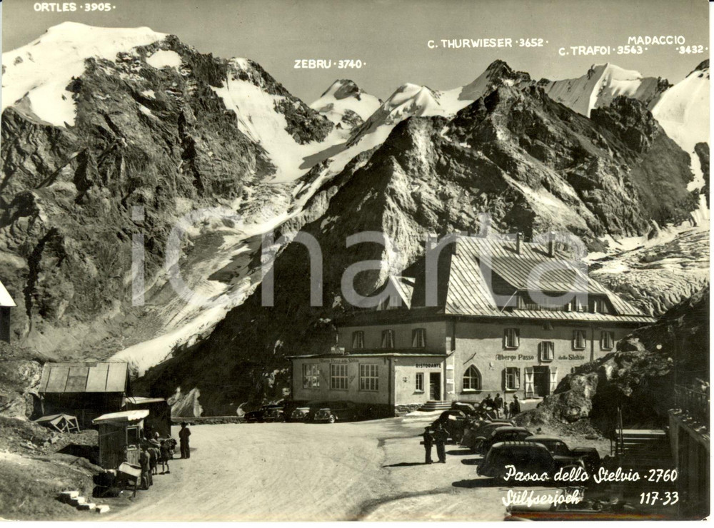 Cartolina originale da collezione 1950 ca PASSO DELLO STELVIO (BZ) Veduta con cime ORTLES e ZEBRU *Cartolina FG NV 1