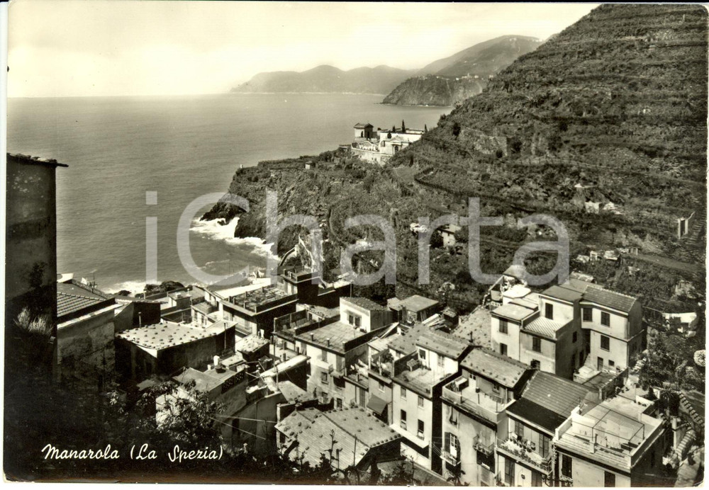 Cartolina originale da collezione 1950 ca MANAROLA (SP) Veduta abitato con cimitero sul golfo *Cartolina FG NV 1