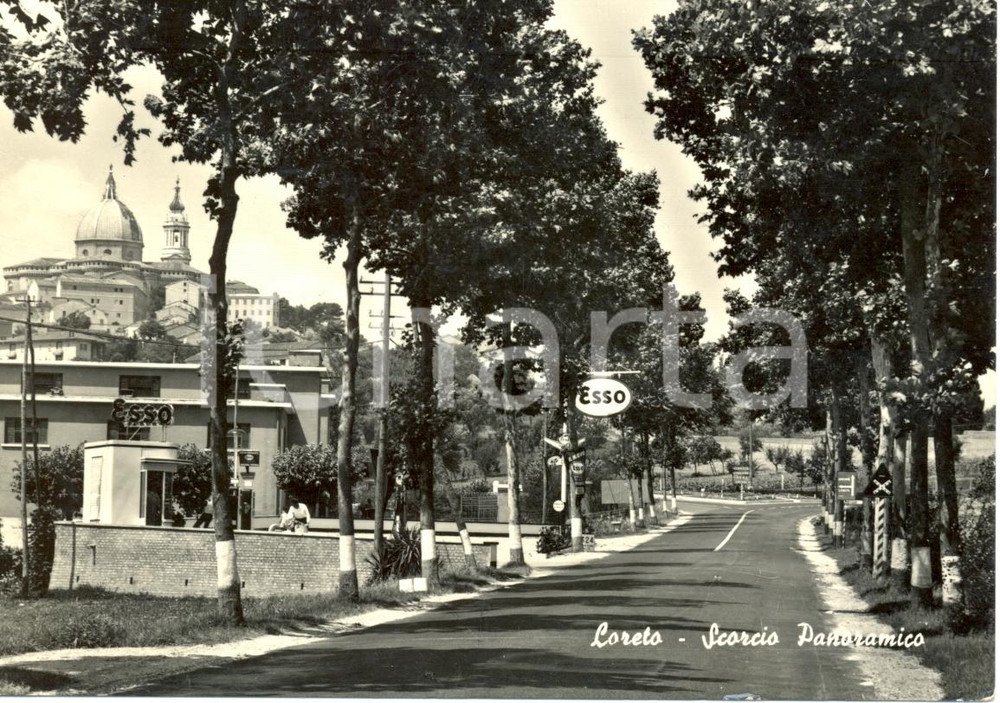 Cartolina originale da collezione 1959 LORETO AN Viale alberato con stazione ESSO Cartolina ANIMATA FG VG 1