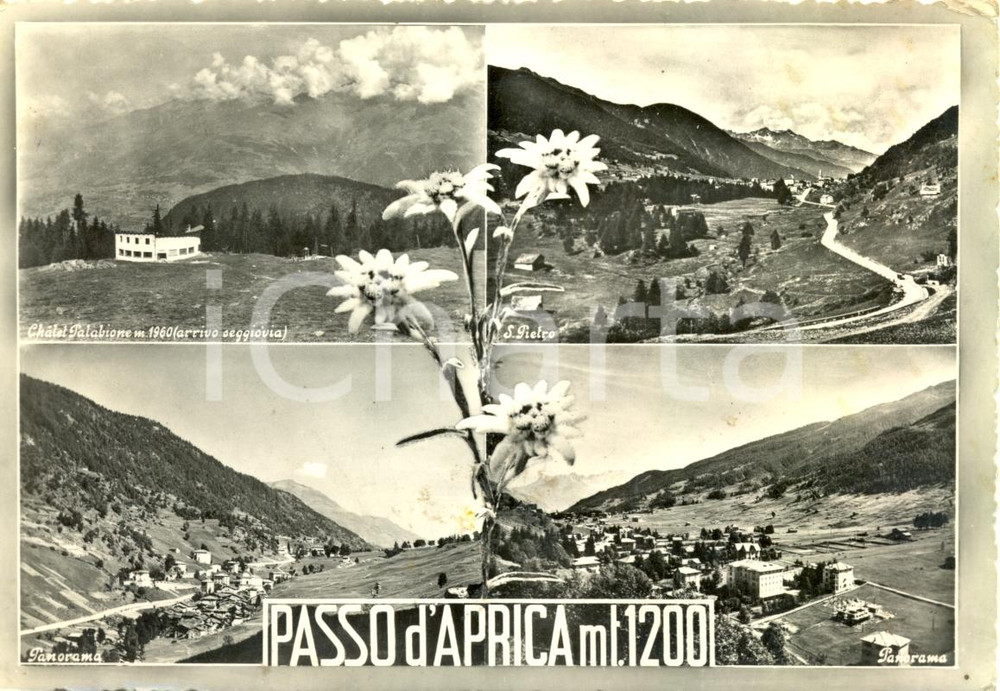 Cartolina originale da collezione 1960 ca PASSO D APRICA  SO Vedutine panoramiche  Cartolina postale FG VG 1