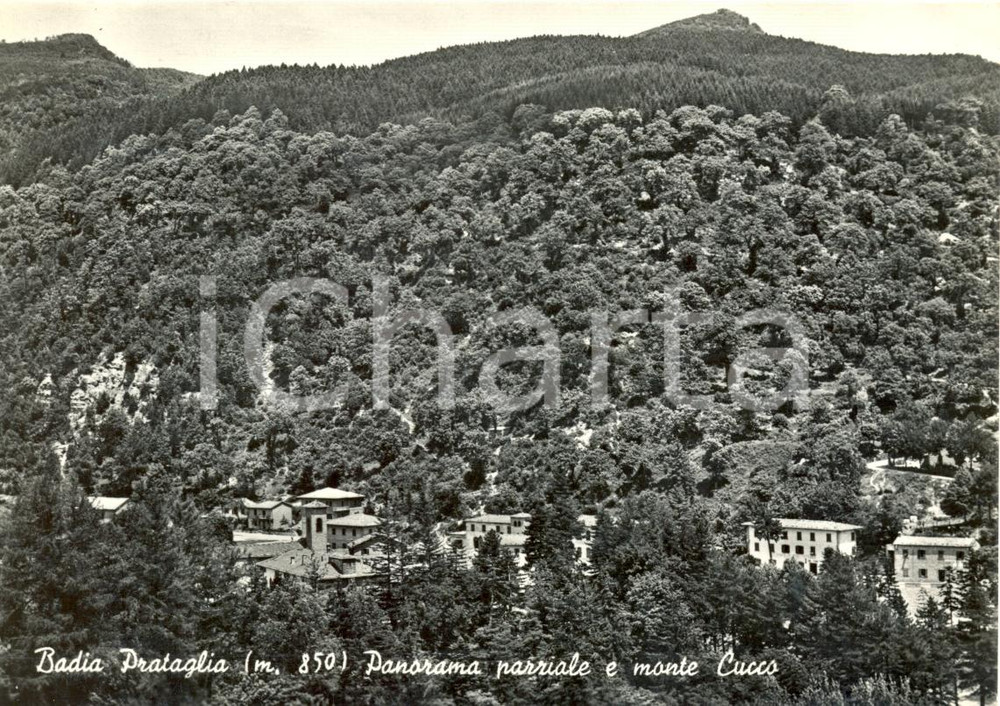 Cartolina originale da collezione 1956 BADIA PRATAGLIA (AR) Panorama e monte CUCCO *Cartolina postale FG VG 1