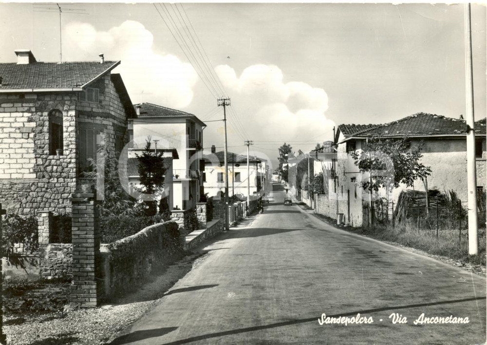 Cartolina originale da collezione 1982 SANSEPOLCRO (AR) Veduta della via Anconetana *Cartolina animata FG VG 1
