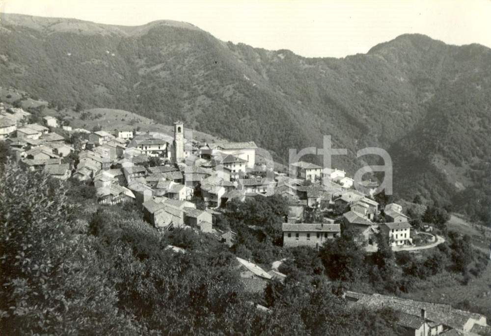 Cartolina originale da collezione 1972 FAEDIS UD Panorama di CANEBOLA Cartolina postale FG VG 1