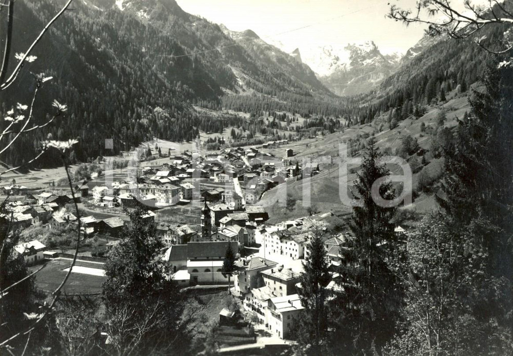 Cartolina originale da collezione 1958 FORNO DI CANALE (BL) Panorama verso VALLE di GARES *Cartolina postale FG VG 1