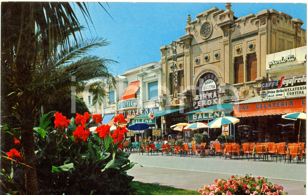 Cartolina originale da collezione 1989 VIAREGGIO (LU) CaffÃ¨ BALENA con pubblicitÃ  birra PERONI *VINTAGE FG VG 1