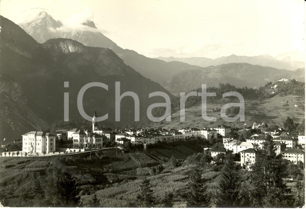 Cartolina originale da collezione 1951 LORENZAGO DI CADORE BL Veduta panoramica dell abitato Cartolina FG VG 1