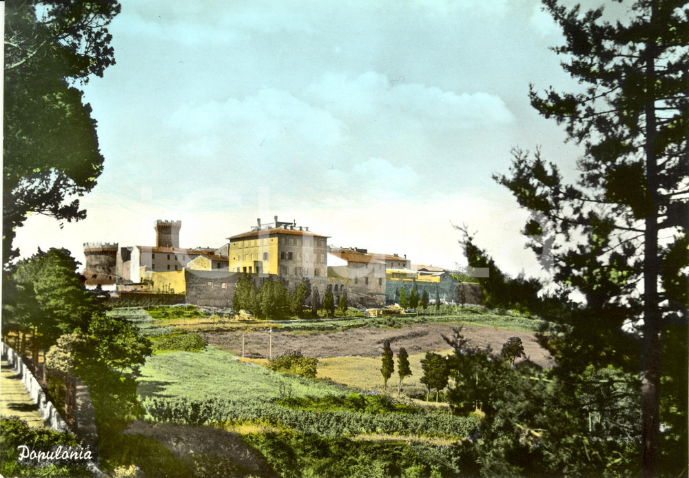 Cartolina originale da collezione 1960 ca POPULONIA LI Panorama della cittadina  Cartolina FG NV 1