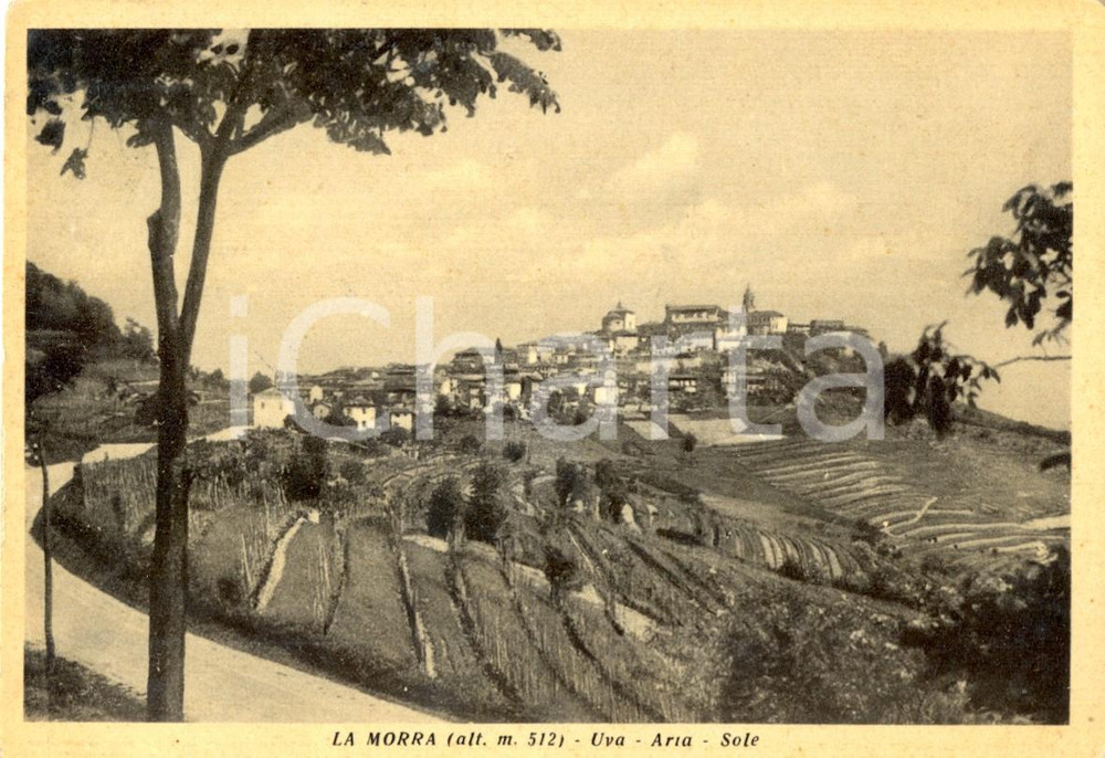 Cartolina originale da collezione 1953 LA MORRA (CN) Scorcio panoramico del paese *Cartolina postale FG VG 1