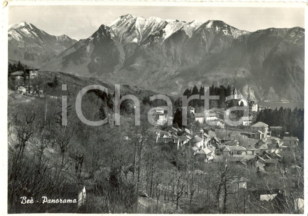 Cartolina originale da collezione 1953 BEE VB Scorcio panoramico del paese Cartolina postale FG VG 1