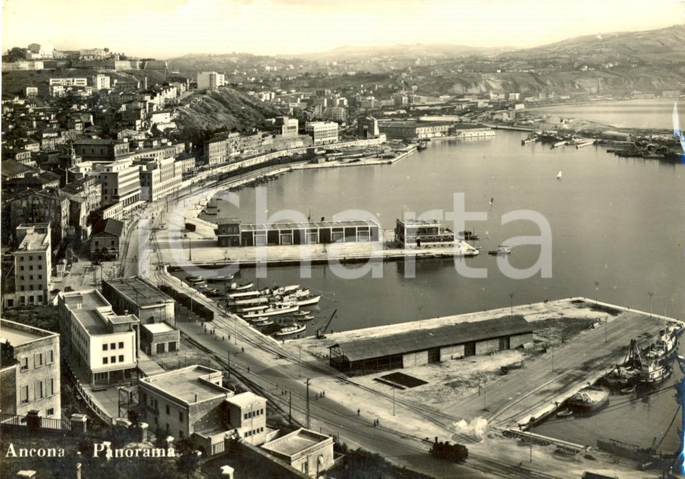 Cartolina originale da collezione 1962 ANCONA Veduta panoramica del porto *Cartolina postale FG VG 1