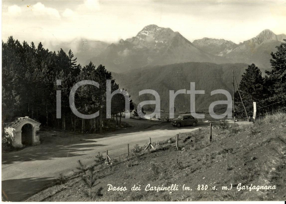 Cartolina originale da collezione 1963 GARFAGNANA (LU) Veduta del PASSO DEI CARPINELLI *Cartolina postale FG VG 1