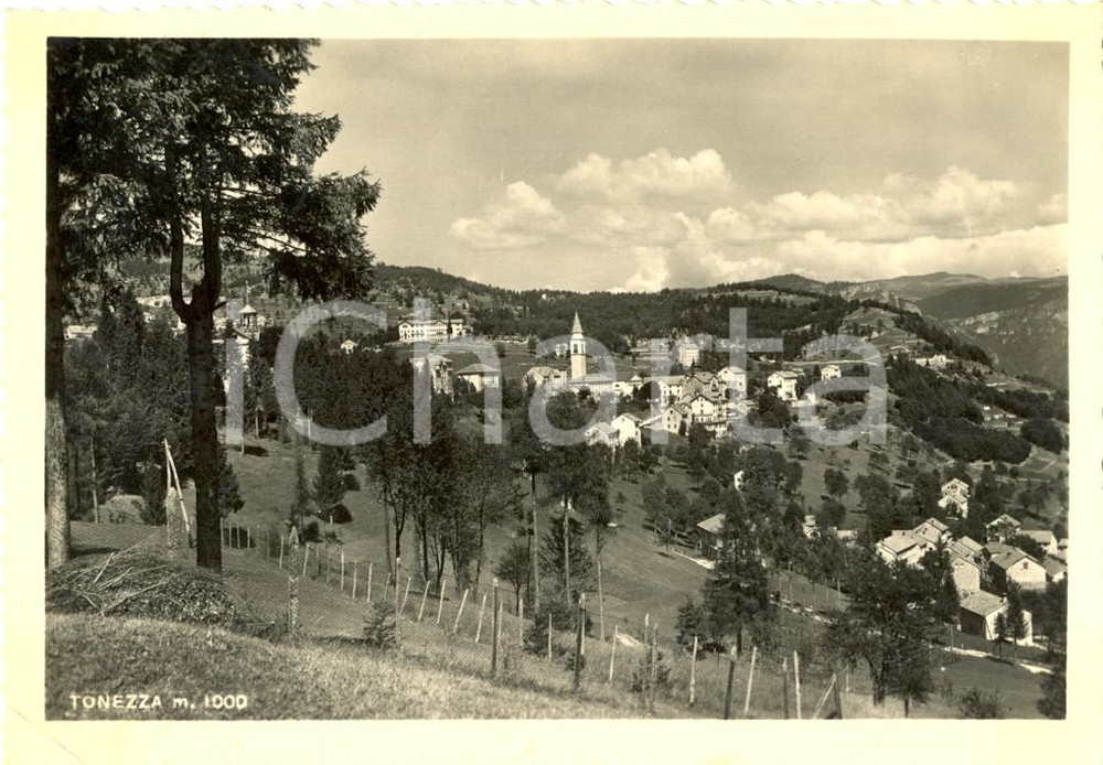 Cartolina originale da collezione 1951 TONEZZA DEL CIMONE VI Panorama del paese Cartolina postale FG VG 1