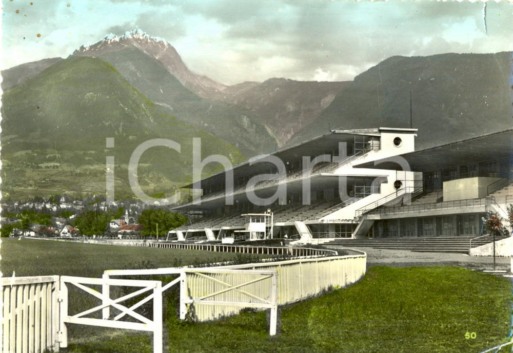Cartolina originale da collezione 1954 MERANO BZ Scorcio dell IPPODROMO Cartolina postale FG VG 1