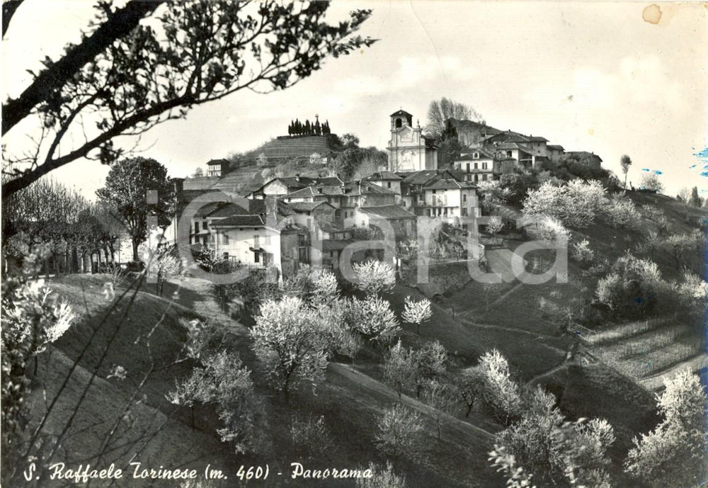 Cartolina originale da collezione 1959 SAN RAFFAELE CIMENA TO Panorama con Chiesa DELL ARCANGELO MICHELE FG VG 1