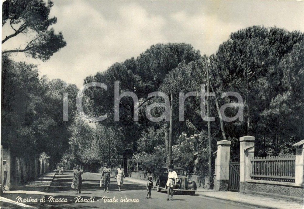 Cartolina originale da collezione 1950 ca MASSA Viale con passanti a RONCHI *Cartolina postale ANIMATA FG NV 1