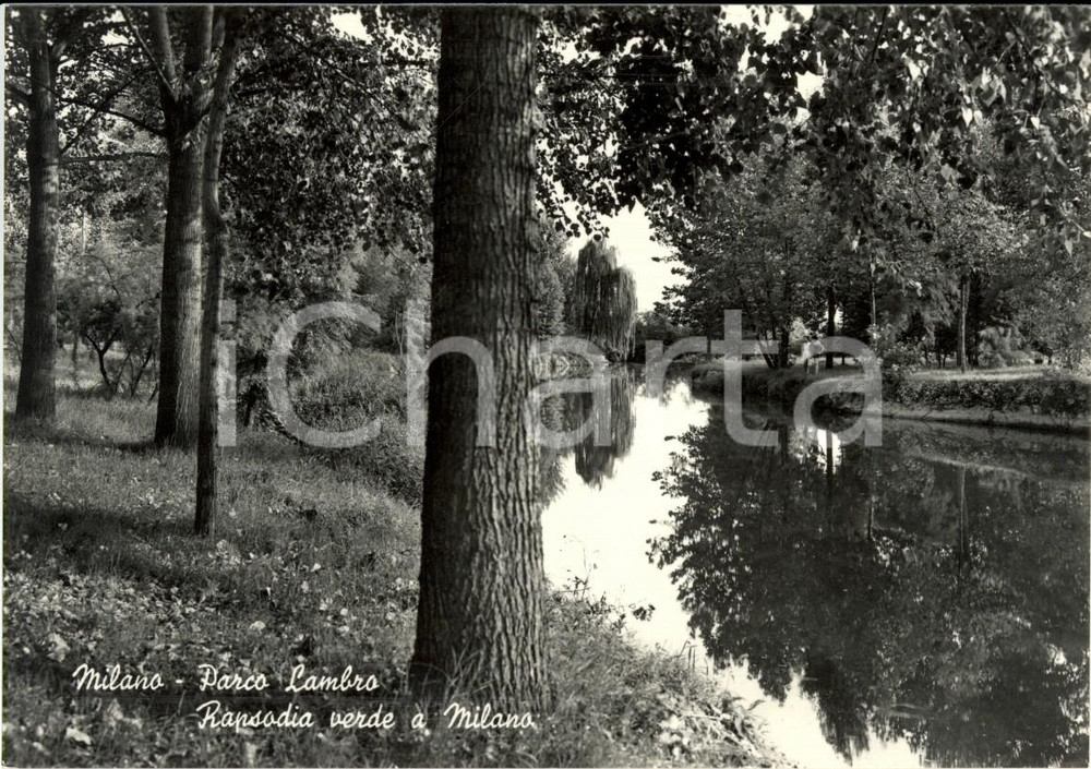 Cartolina originale da collezione 1960 ca MILANO Veduta di ruscello del PARCO LAMBRO  Cartolina ANIMATA FG NV 1
