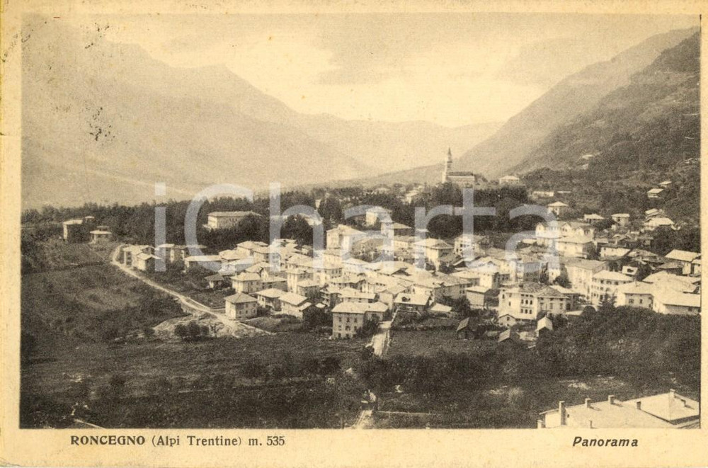 Cartolina originale da collezione 1928 RONCEGNO TN Panorama della vallata e del borgo Cartolina postale FP VG 1