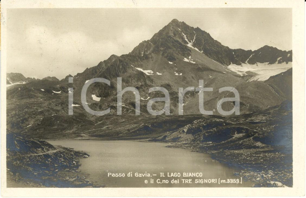 Cartolina originale da collezione 1930 PASSO DI GAVIA (SO) Lago BIANCO e CORNO DEI TRE SIGNORI *Cartolina FP VG 1