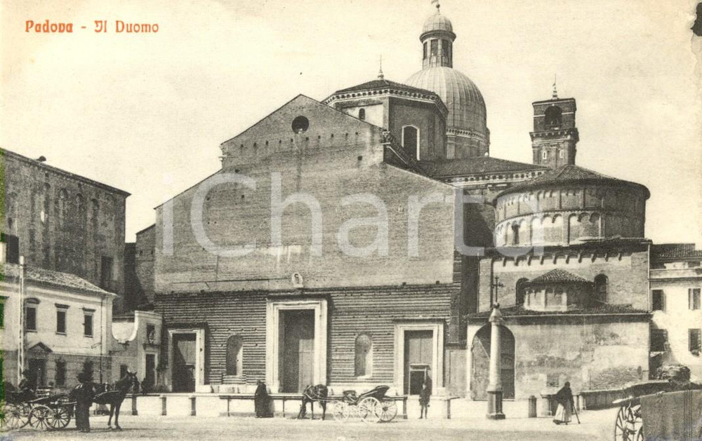 Cartolina originale da collezione 1920 ca PADOVA Veduta del DUOMO *Cartolina ANIMATA con calessi FP NV 1