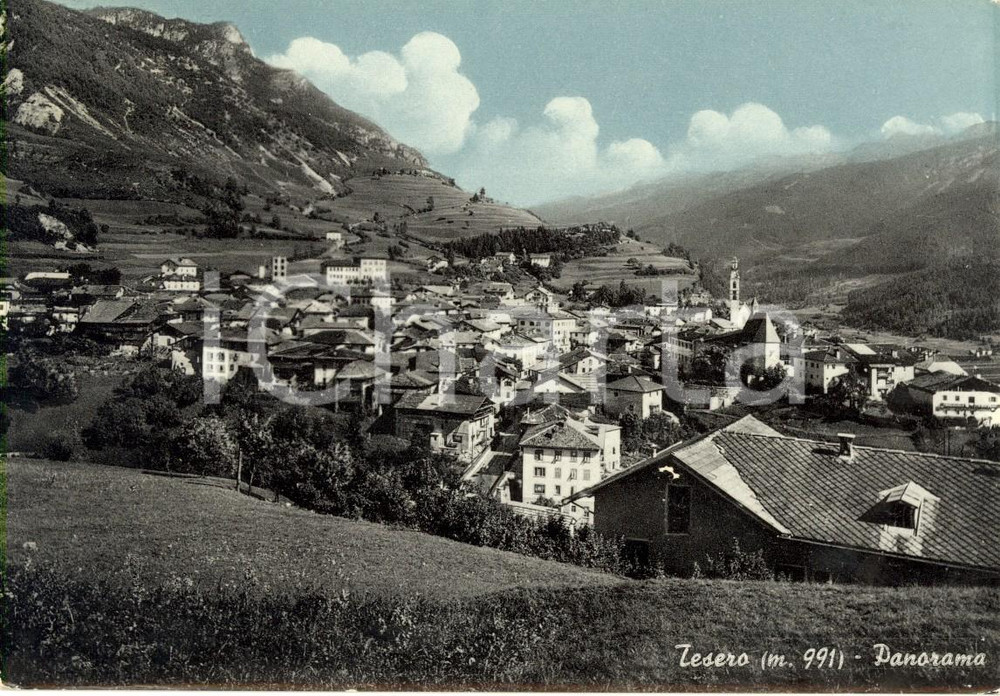 Cartolina originale da collezione 1955 ca TESERO TN Veduta panoramica del paese Cartolina postale FG VG 1