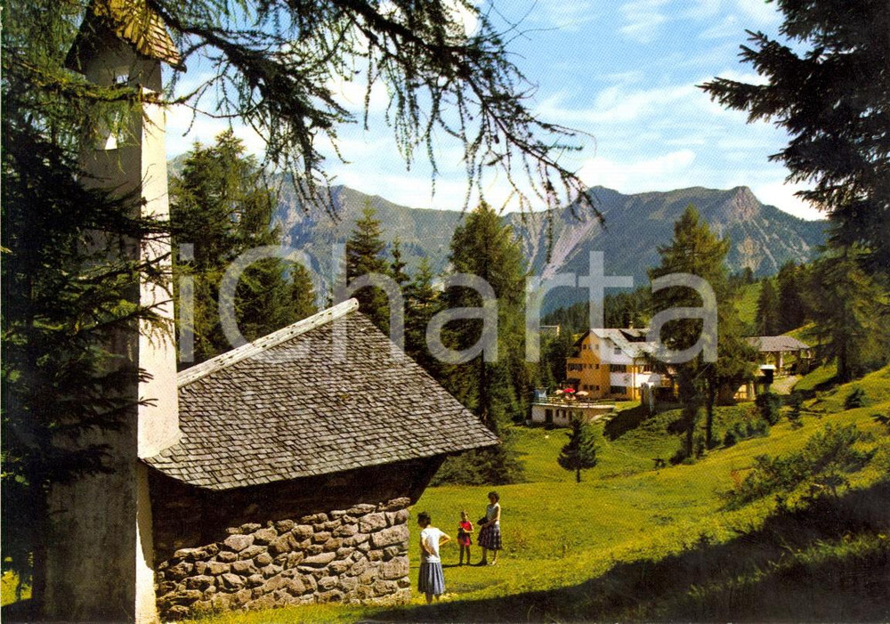Cartolina originale da collezione 1966 PIAZZATORRE BG Rifugio RODODENDRO sul monte TORCOLA Cartolina VINTAGE 1