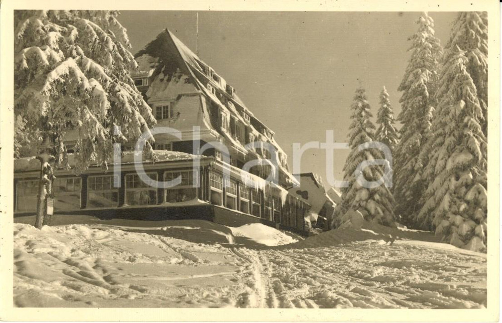 Cartolina originale da collezione 1930 ca FORESTA NERA (GER) Hotel HEBELHOF FELDBERG *Cartolina postale FP NV 1