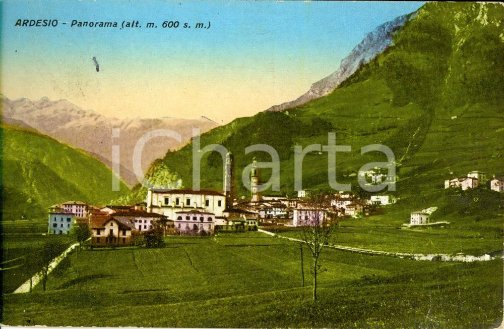 Cartolina originale da collezione 1931 ARDESIO BG Veduta del paese e delle campagne Cartolina postale FP VG 1