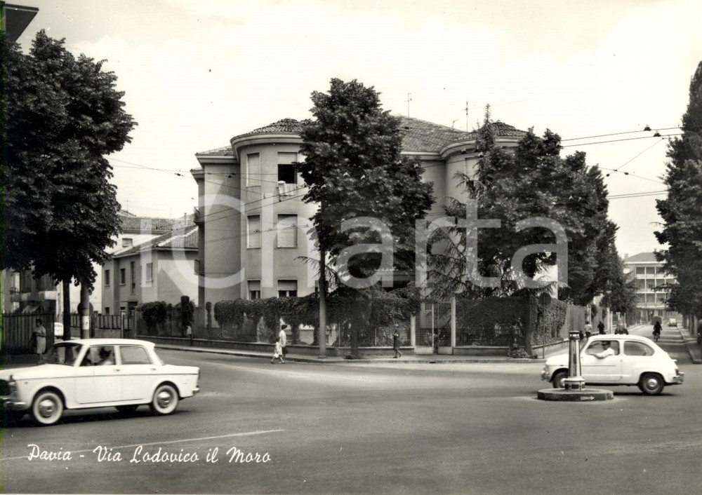 Cartolina originale da collezione 1960 ca PAVIA Veduta di via LUDOVICO IL MORO con autovetture *Cartolina ANIMATA 1