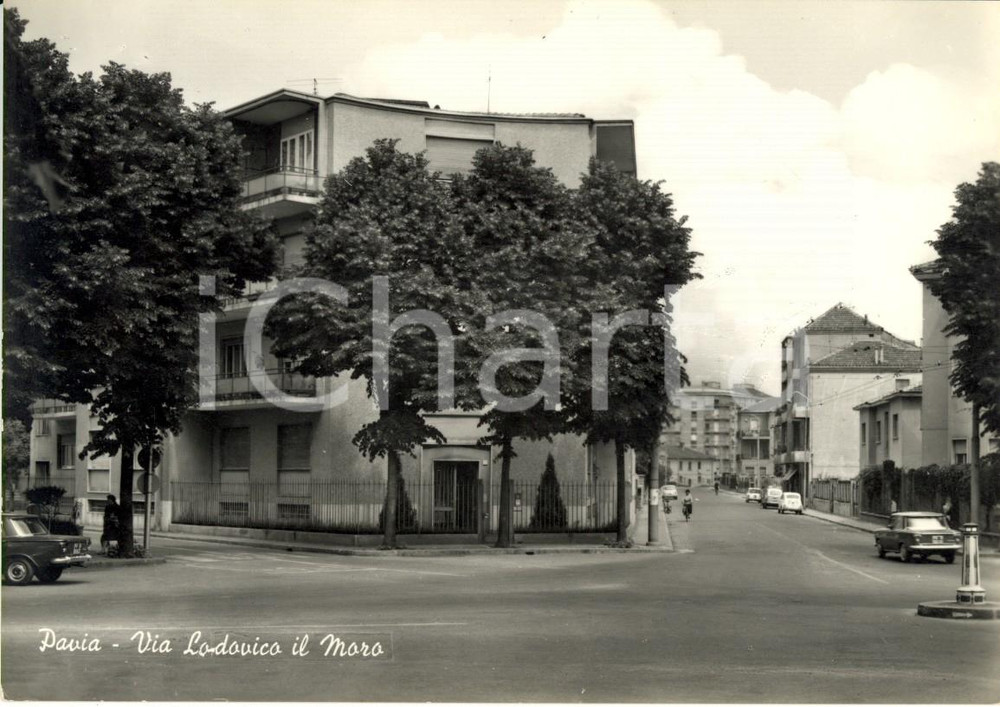 Cartolina originale da collezione 1960 ca PAVIA Scorcio di via LUDOVICO IL MORO Cartolina postale ANIMATA FG NV 1
