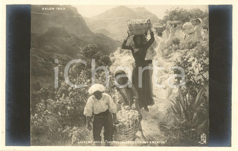 Cartolina originale da collezione 1903 ARTE Une descente de citrons à MENTON  Laurent GSELL Cartolina ILLUSTRATA 1