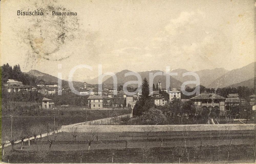 Cartolina originale da collezione 1925 BISUSCHIO (VA) Panorama paese e campagne *Cartolina DANNEGGIATA FP VG 1