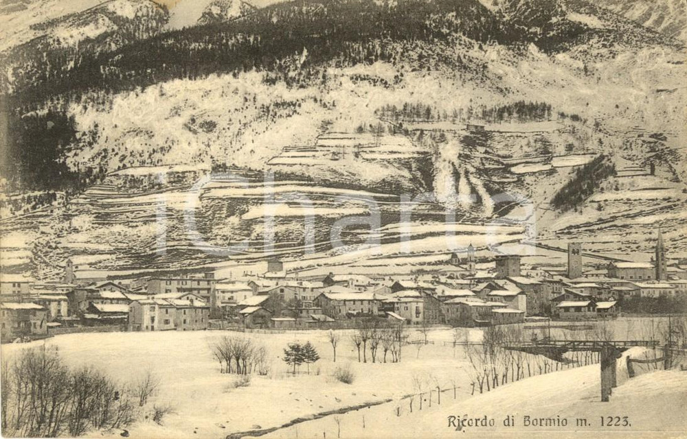 Cartolina originale da collezione 1915 ca BORMIO (SO) Veduta del paese innevato *Cartolina postale FP NV 1
