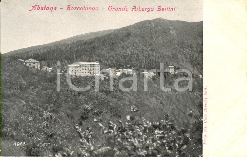 Cartolina originale da collezione 1900 ca ABETONE (PT) Grand Hotel BELLINI a BOSCOLUNGO *Cartolina postale FP NV 1