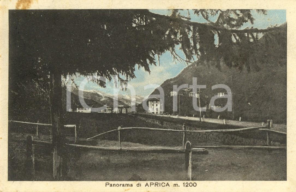 Cartolina originale da collezione 1929 APRICA (SO) Panorama del paese e dei dintorni *Cartolina DANNEGGIATA FP VG 1