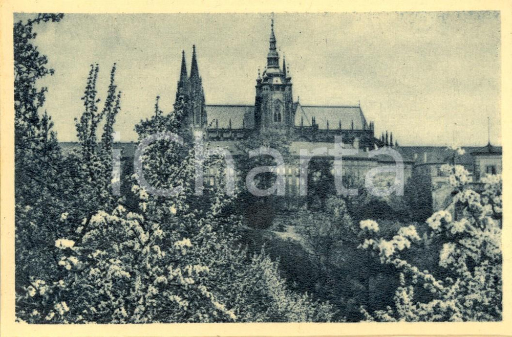 Cartolina originale da collezione 1930 ca PRAGA (CZ) Veduta della Cattedrale di SAN VITO *Cartolina postale FP NV 1
