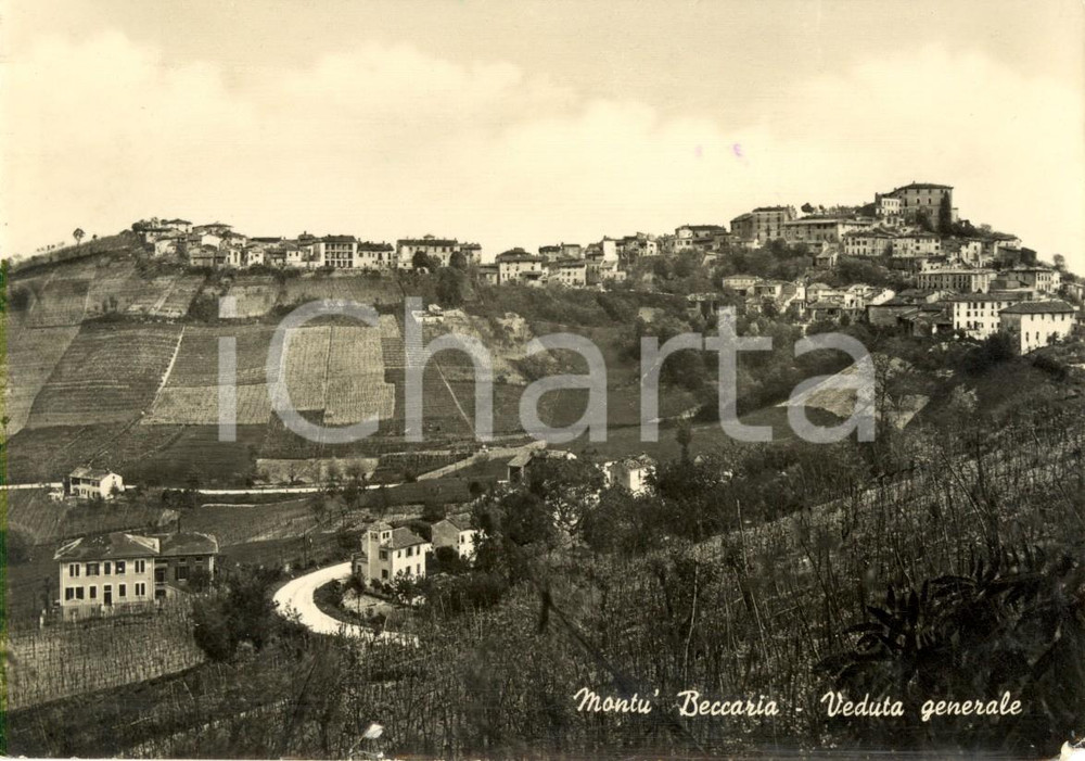Cartolina originale da collezione 1954 MONTU' BECCARIA (PV) Veduta generale paese e campagne *Cartolina FG VG 1