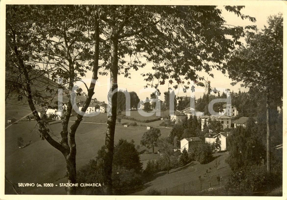 Cartolina originale da collezione 1938 SELVINO (BG) Veduta paese e dintorni *Cartolina GRAVEMENTE DANNEGGIATA 1