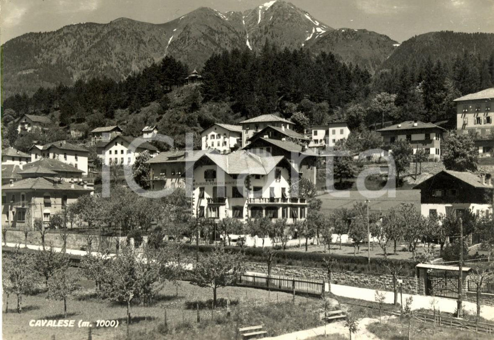 Cartolina originale da collezione 1915 CAVALESE TN Veduta Albergo MONTE BELLO e paese Cartolina postale FG VG 1