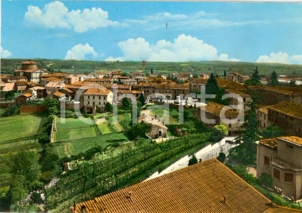 Cartolina originale da collezione 1966 POZZOLENGO BS Panorama paese con vigneto Cartolina postale FG VG 1