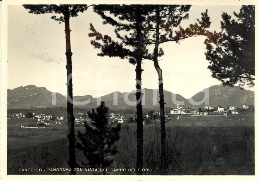 Cartolina originale da collezione 1958 CANTELLO (VA) Panorama con vista del CAMPO DEI FIORI *Cartolina FG VG 1