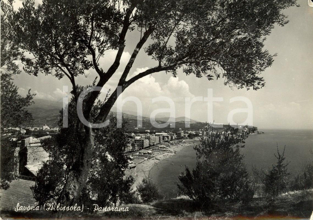 Cartolina originale da collezione 1954 ALBISSOLA MARINA (SV) Veduta panoramica paese e spiaggia *Cartolina FG VG 1