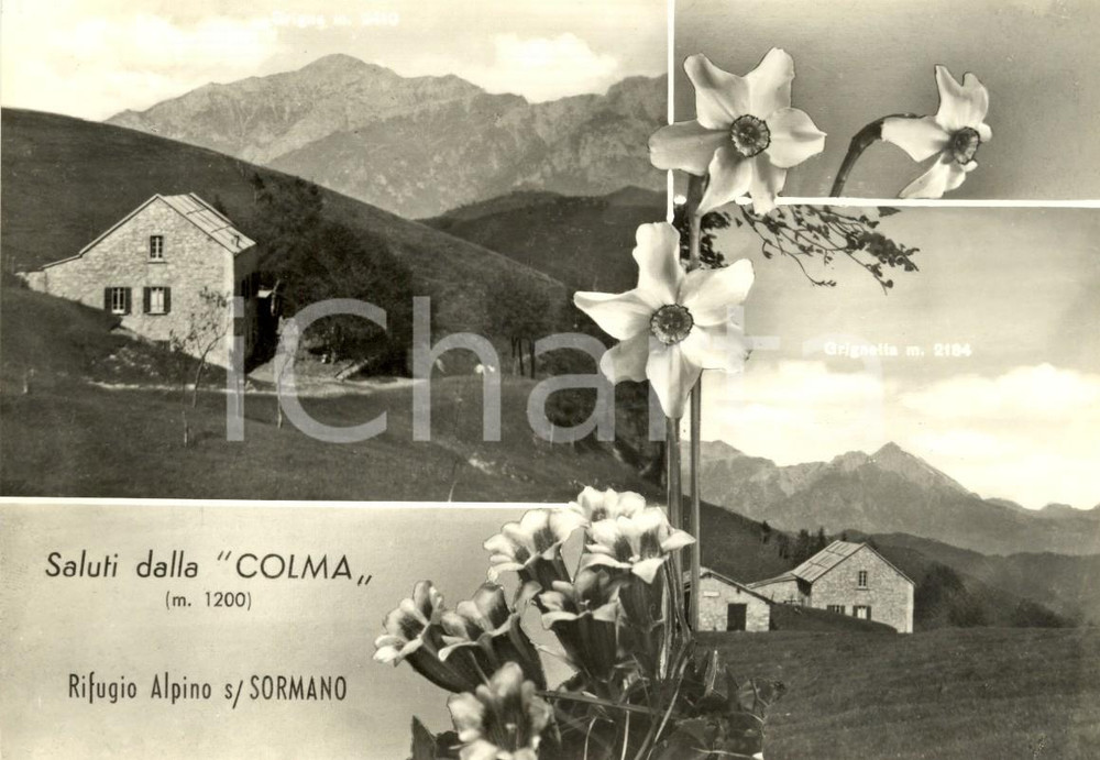 Cartolina originale da collezione 1962 SORMANO CO Vedutine GRIGNA e GRIGNETTA dal Rifugio COLMA Cartolina FG VG 1