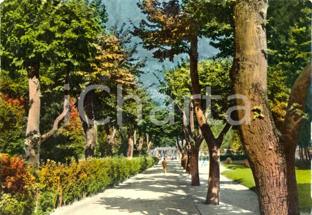 Cartolina originale da collezione 1966 DARFO BOARIO TERME BS Un viale alberato del parco delle fonti FG VG 1