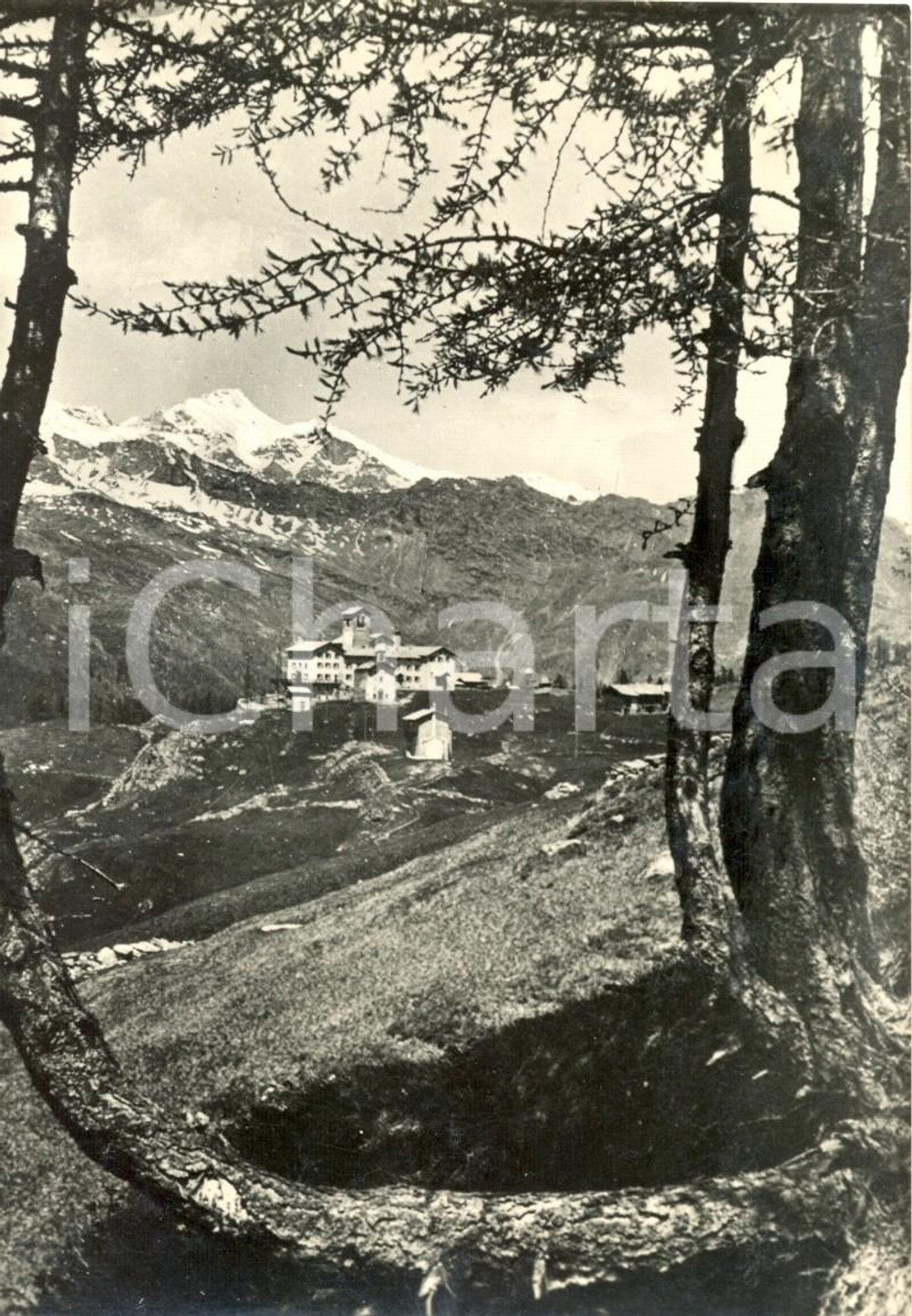 Cartolina originale da collezione 1960 CAMPODOLCINO (SO) Casa alpina di MOTTA e panorama della VALLE SPLUGA *FG VG 1